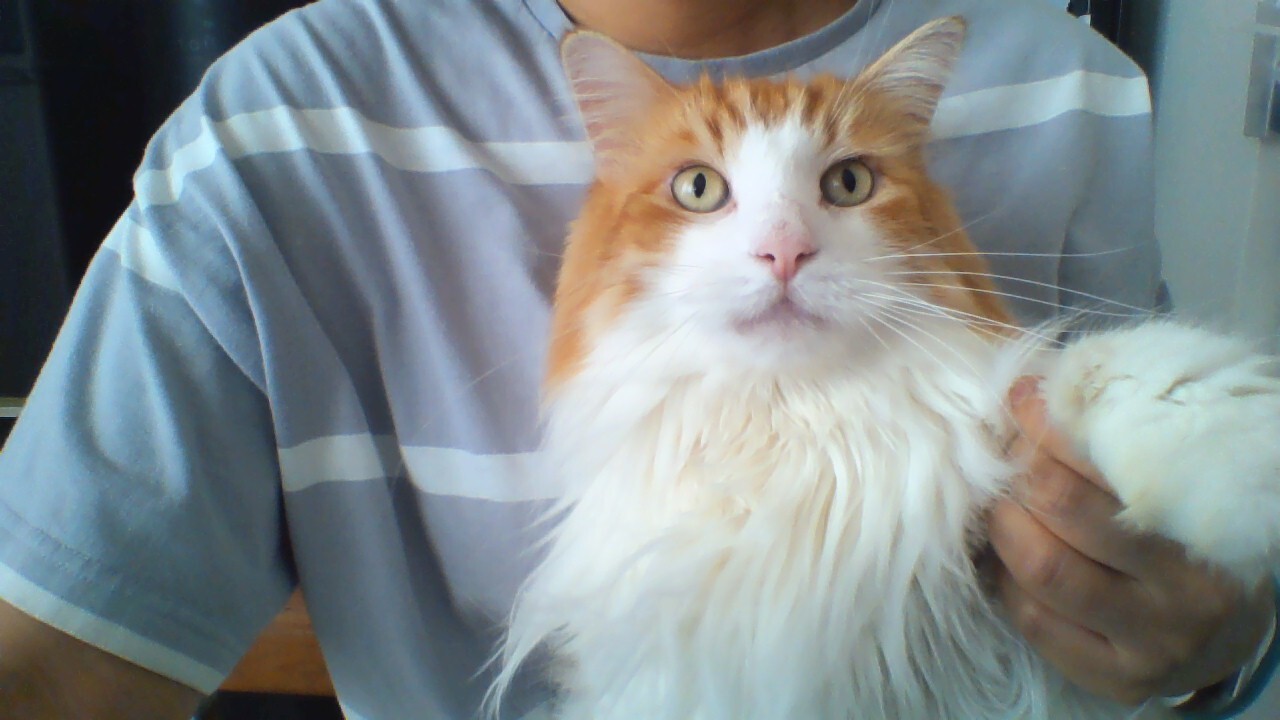 社員の一日を紹介ッ！