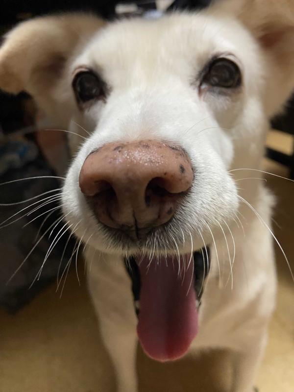 はじめましてっ！