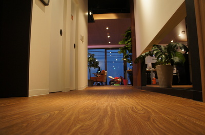 アクセル・モードをとりまく環境