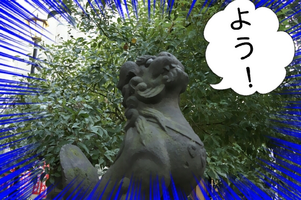 7COMICA_20140117_142333.jpgのサムネール画像